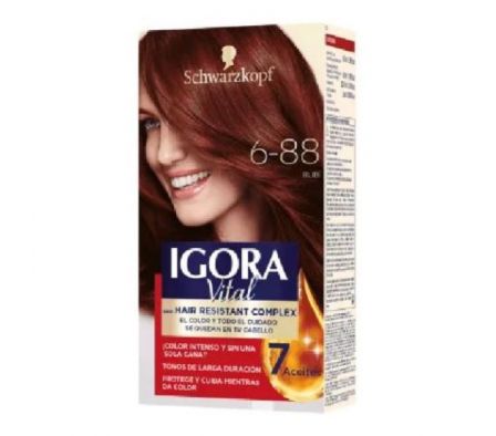 TINTE IGORA VITAL 6,88 50ML