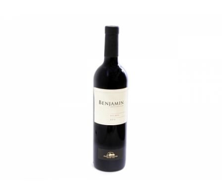 VINO BENJAMIN NIETO MALBEC 750 ML
