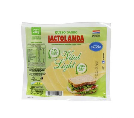 QUESO DAMBO LIGHT FETEADO 250 GR.LA HOLANDA