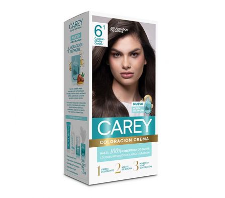 CAREY TINT.KIT COMP.RUBIO OSCURO CENIZA Nº 6.1