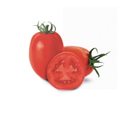 TOMATE PERITA X KL.