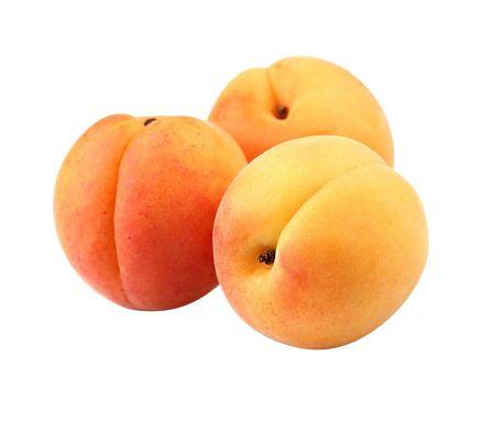 PELON ARGENTINO X KL